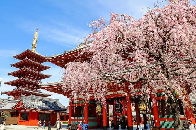 Tokyo Bus Tour
