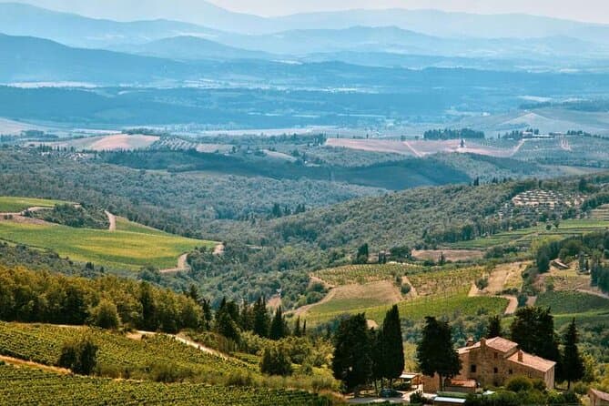 Napa Valley Airplane Flight