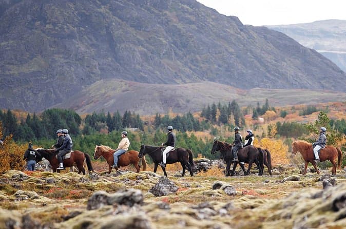 Reykjavik Horse Riding Tour