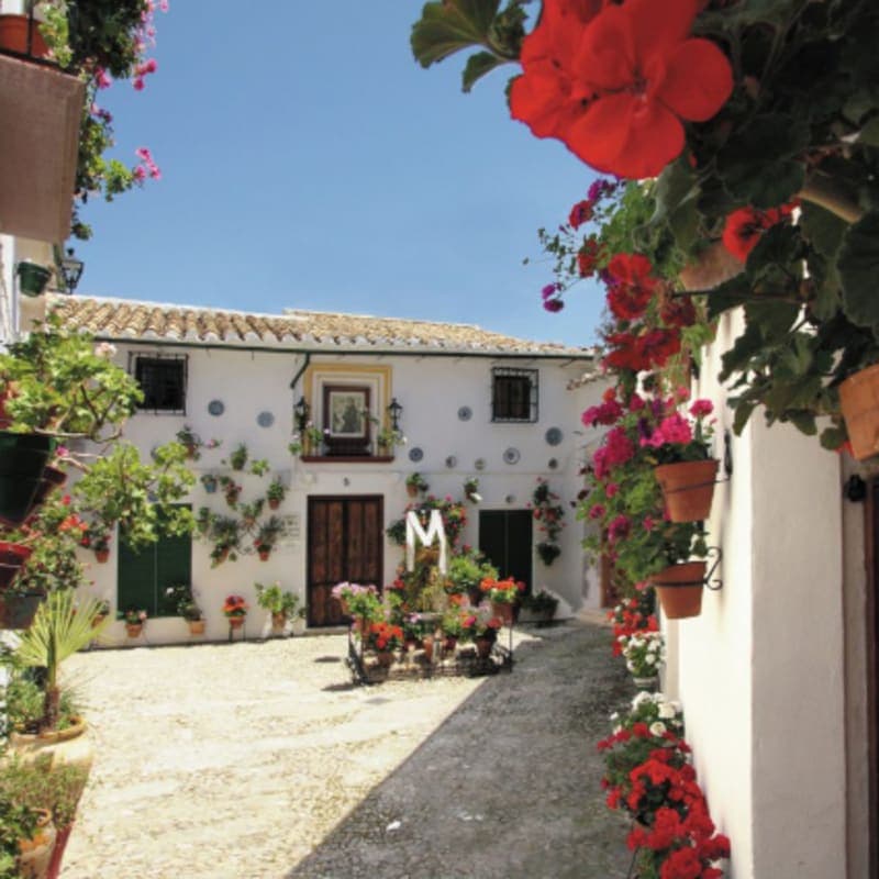 White Villages and Ronda Day Trip from Seville