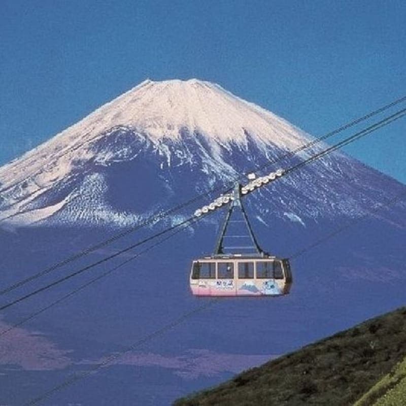 Mt Fuji, Hakone and Lake Ashi Bullet Train Day Trip from Tokyo