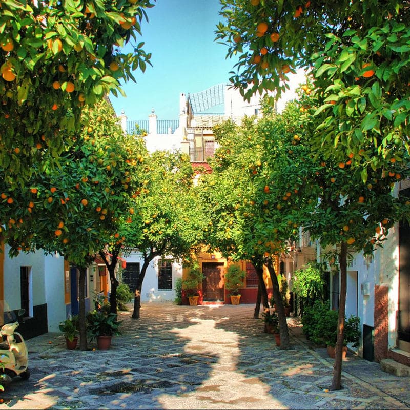 Seville Santa Cruz Jewish Quarter Free Tour