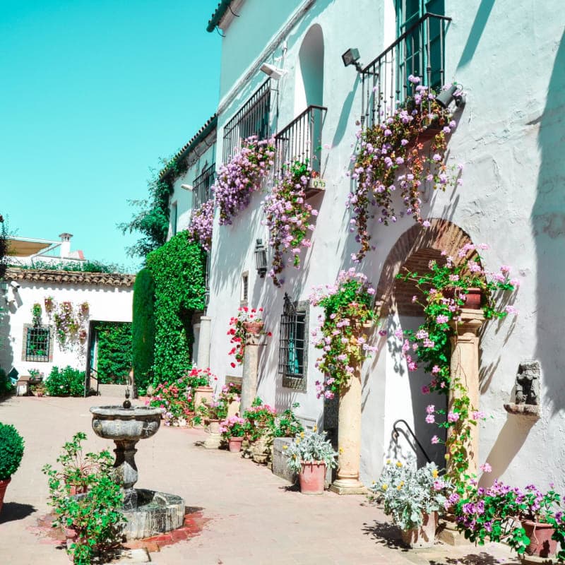 Cordoba Patios Tour