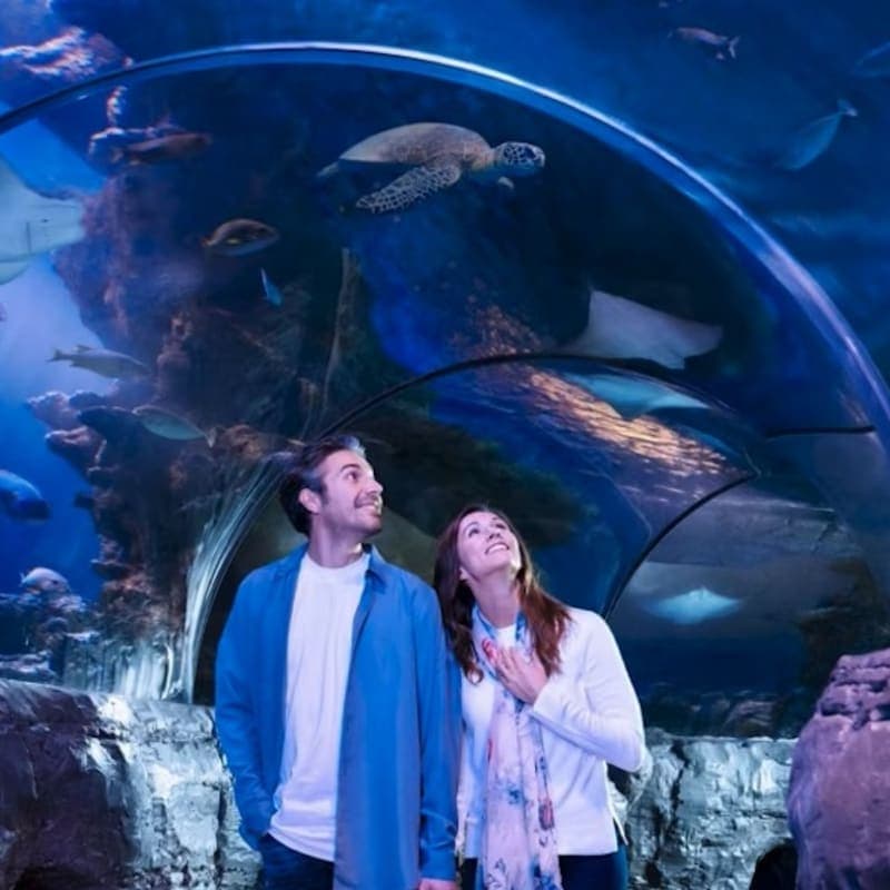 Dallas Sea Life Grapevine Tickets