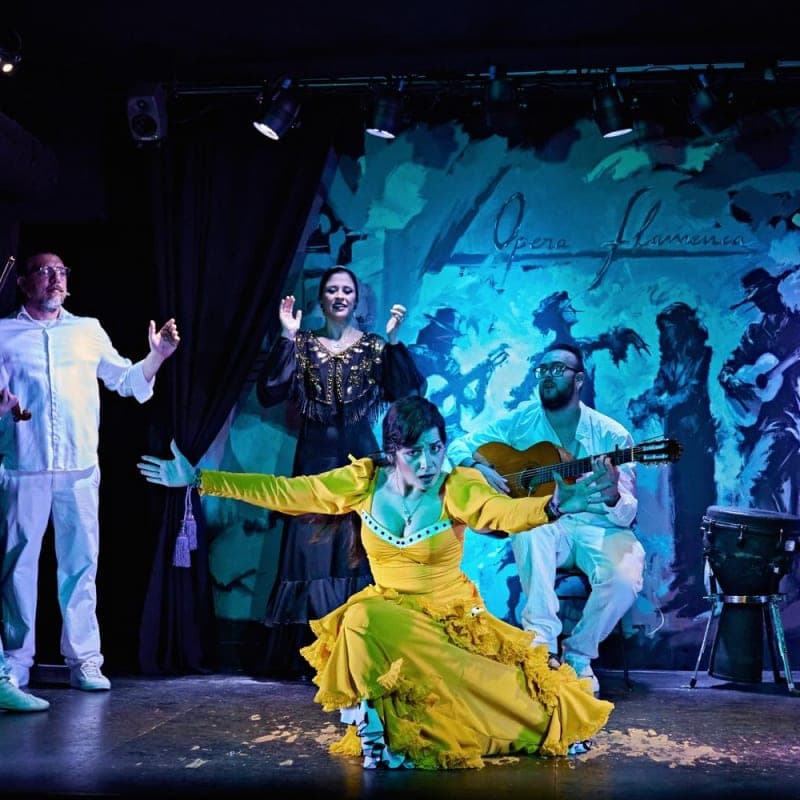 Madrid Flamenco Show in Tablao Ópera Flamenca