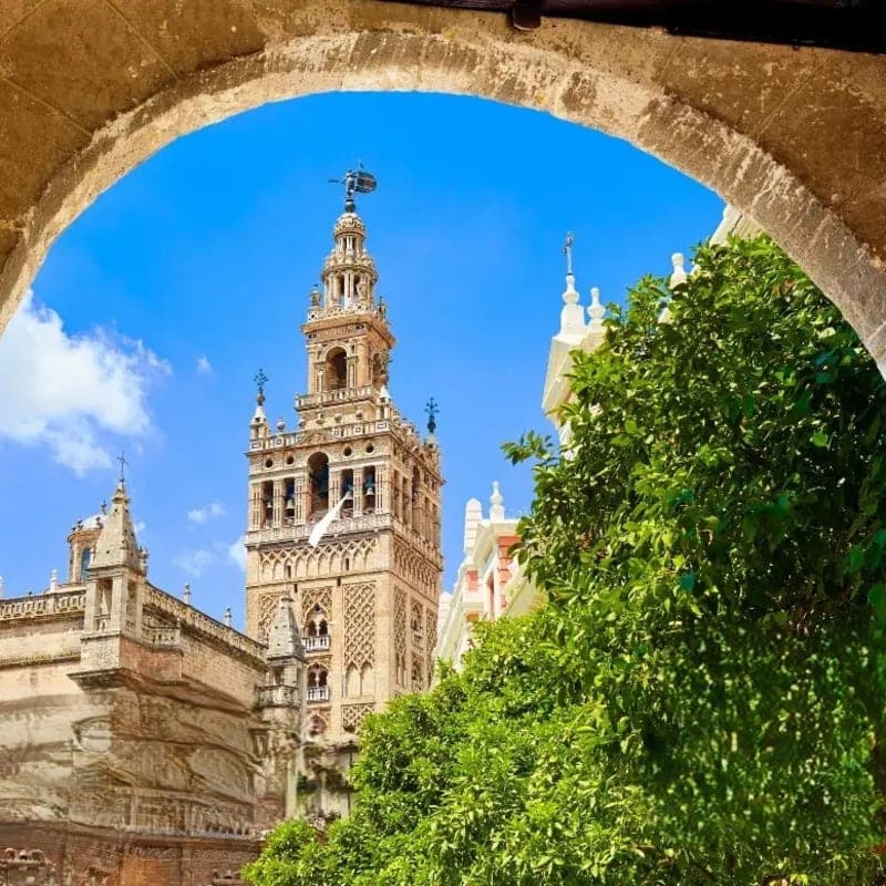 Seville Cathedral Guided Tour
