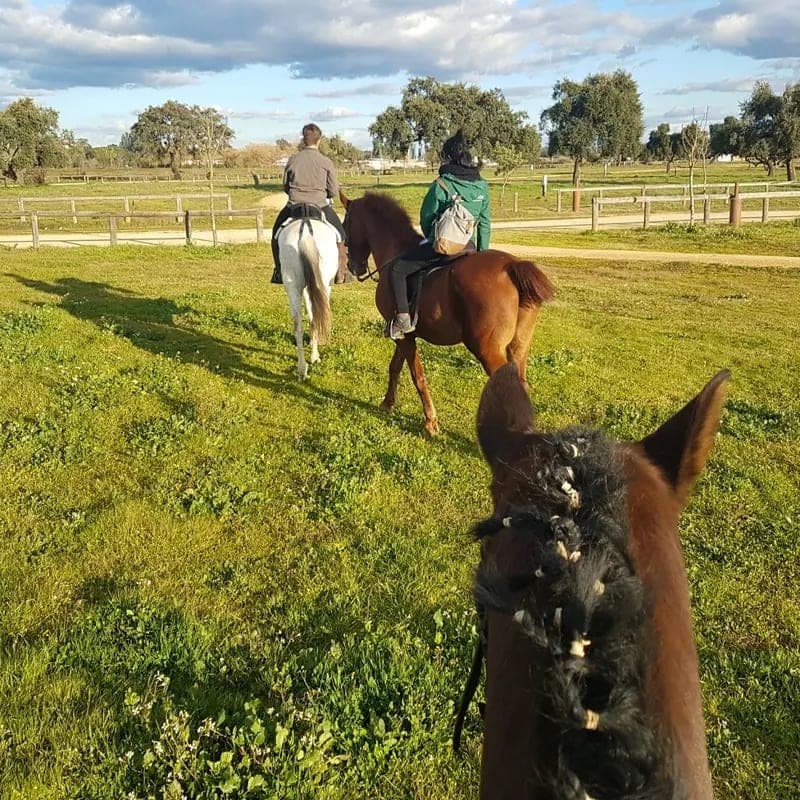 Seville Aljarafe Horse Ride