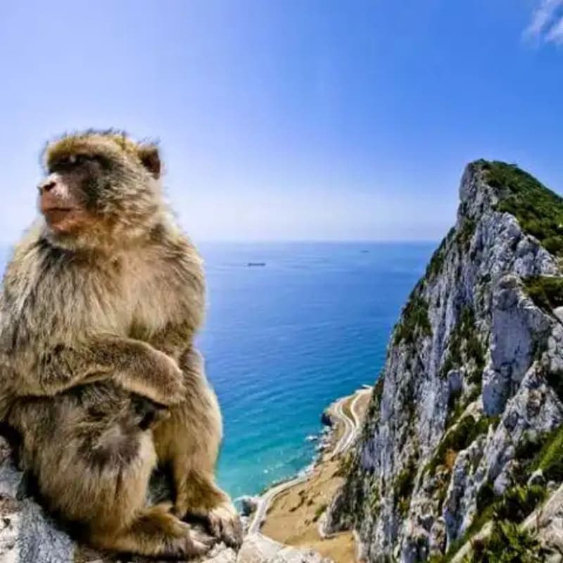 Gibraltar 1-Day Trip from Seville