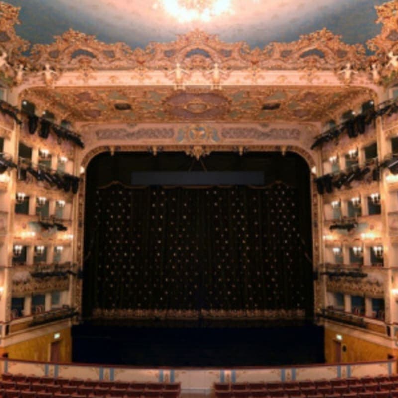 Venice La Fenice Theater Guided Tour