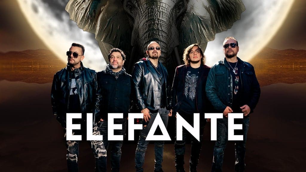 Elefante VIP Packages · 2026