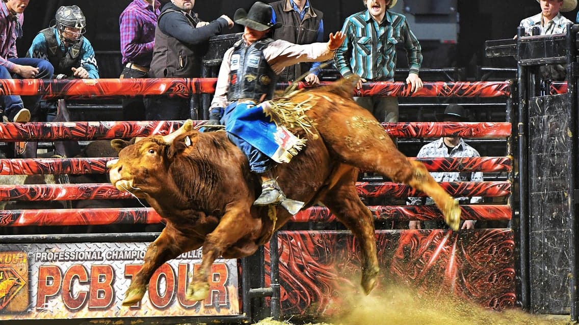 Professional Championship Bull Riders at Huntington Center