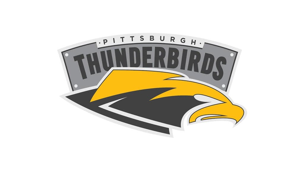 Pittsburgh Thunderbirds vs. Madison Radicals at F.N.B. Stadium
