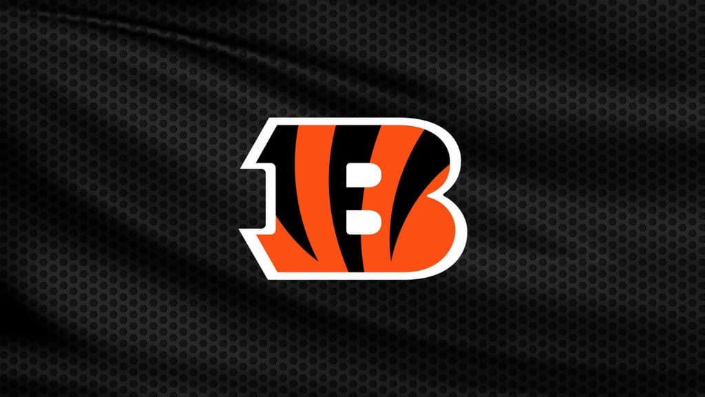 NFL Preseason: Cincinnati Bengals vs. Detroit Lions at Paycor Stadium