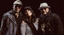 Shalamar Presale Guide · 2026