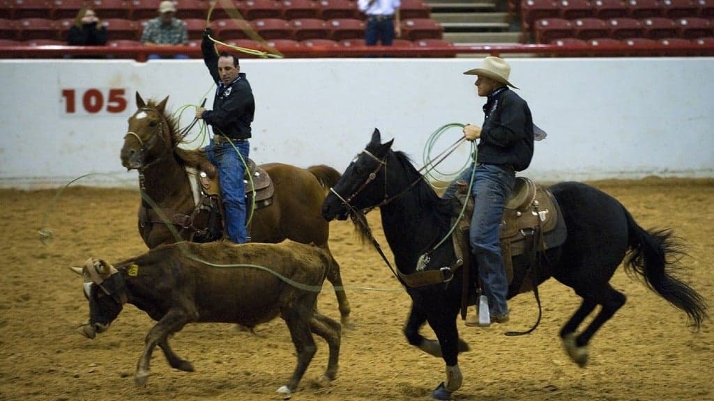 Rockin A Rodeo Battle of the Beast at Freedom Hall