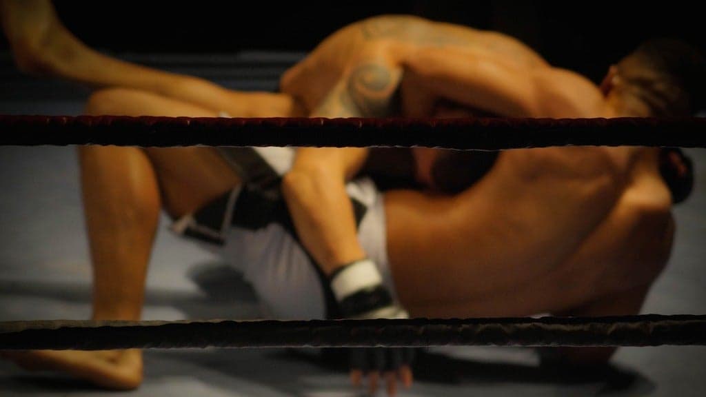 APFC 24: Milwaukee Fight Night 11 at Landmark Credit Union Live