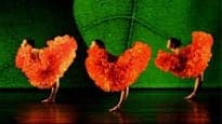 Momix at Margot and Bill Winspear Opera House